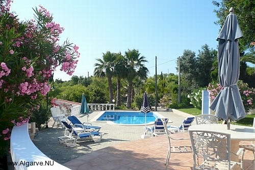 A view of our swimming pool and terrace.
