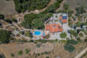 Spacious detached villa with swimming pool, double garage and garden with palm trees in the Algarve, Portugal for rent. Dog welcome