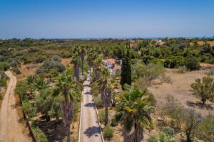 Driveway to detached holiday villa in the Algarve. Lined by palm trees and lighting in the evenings