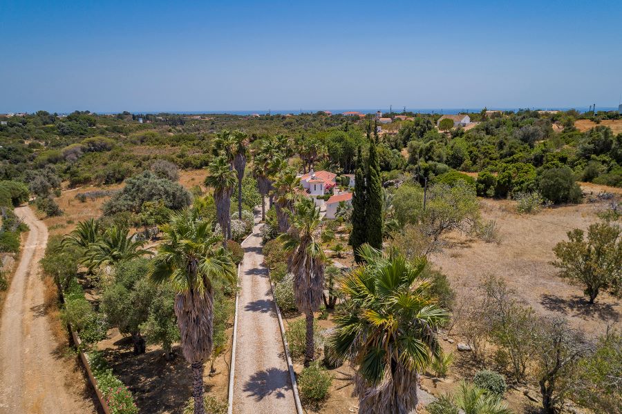 Driveway to detached holiday villa in the Algarve. Lined by palm trees and lighting in the evenings
