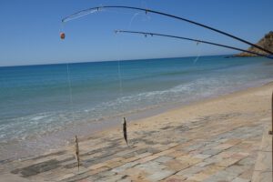 Catch of the day in Salema, worth your daytrip